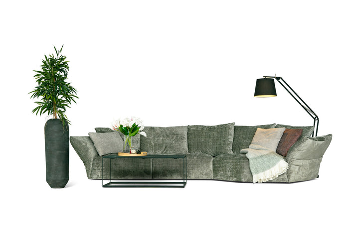 Eularia soffa