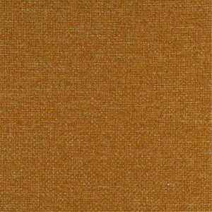 Montana - Curry 2924