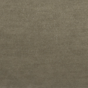 Raven - Ash Grey 9412